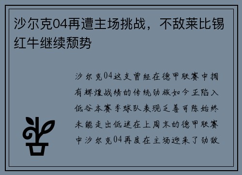 沙尔克04再遭主场挑战，不敌莱比锡红牛继续颓势